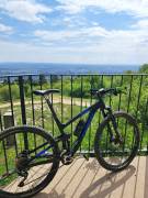 TREK Top Fuel 8 (alu) Mountain Bike 29" dual suspension Shimano SLX used For Sale