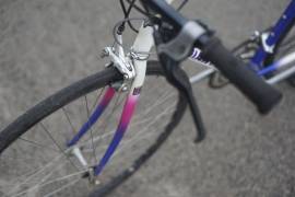 GIANT Peloton Superlite Road bike _Other calliper brake used For Sale