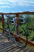 _Other NAGYON RITKA NORTA AERO DYNAMIC  Road bike _Other calliper brake used For Sale