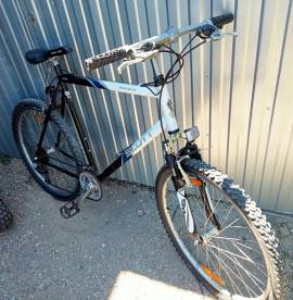 SCOTT Scott Montana 26
