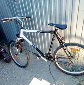 SCOTT Scott Montana 26
