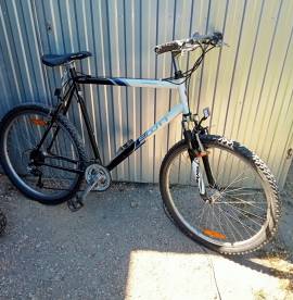 SCOTT Scott Montana 26