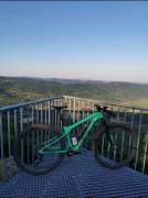 SPECIALIZED Epic World Cup  Mountain Bike dual suspension used For Sale