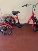 Z-TECH ZT-81 Electric Cargo _Other manufacturer new / not used For Sale