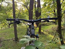 CANYON Nerve Al+ Enduro / Freeride / DH 26" Shimano Deore XT használt ELADÓ